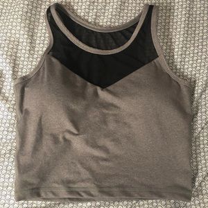 Senita Athletics Mesh Crop Top